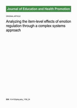 Analyzing the item-level effects of emotion regulation through a complex systems approach